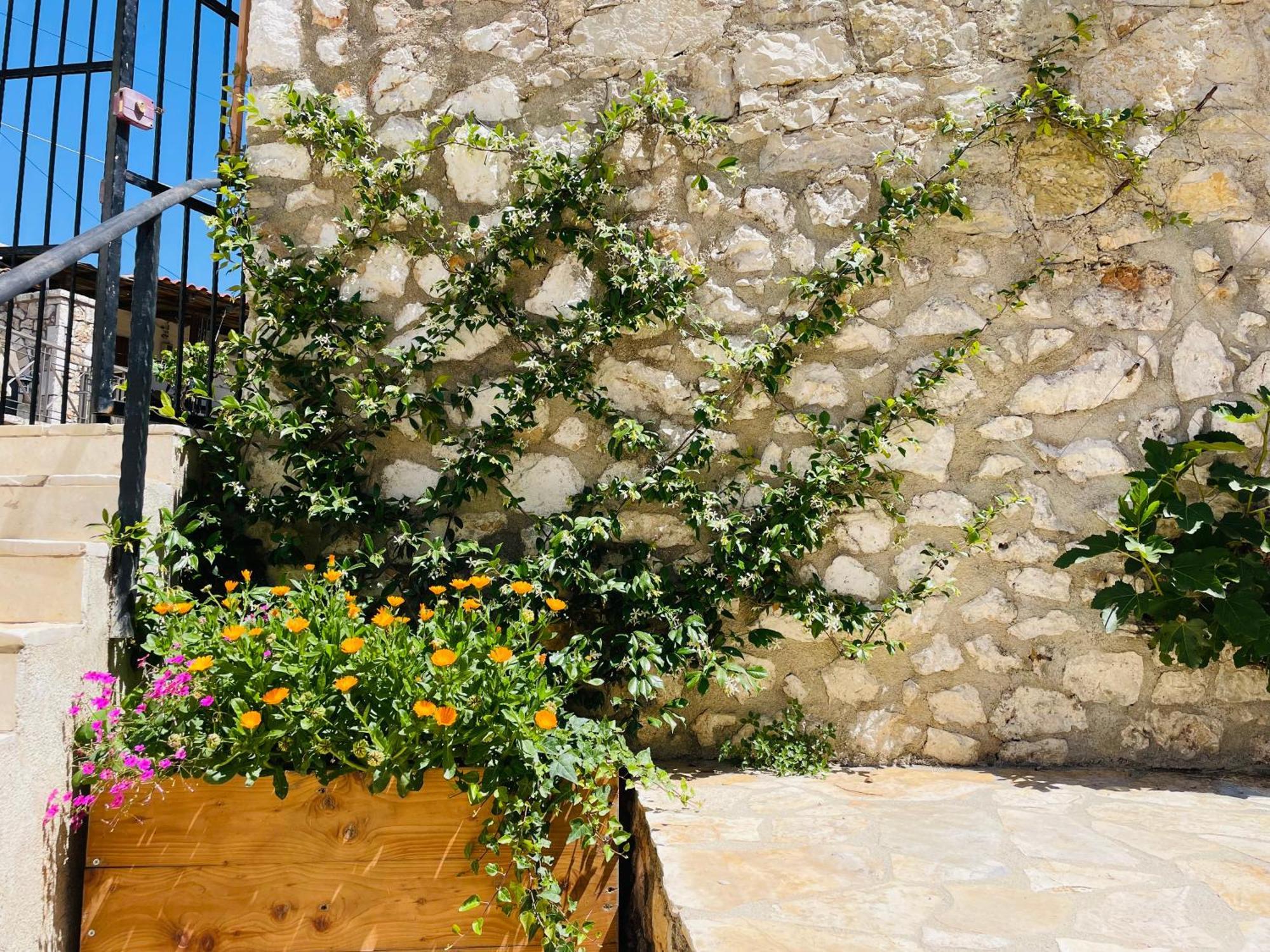 Guesthouse Near The Castle Of Himarë Extérieur photo