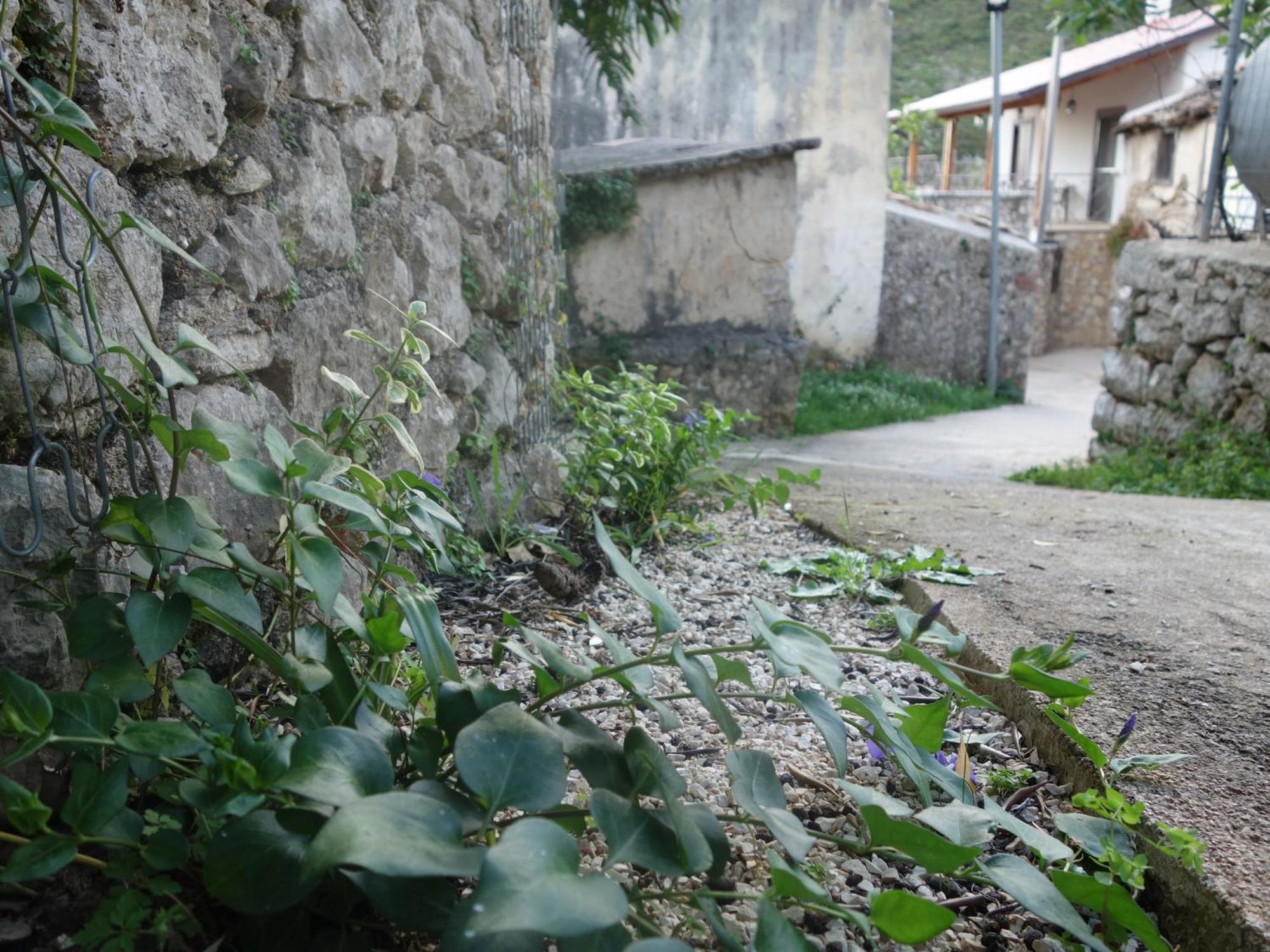 Guesthouse Near The Castle Of Himarë Extérieur photo